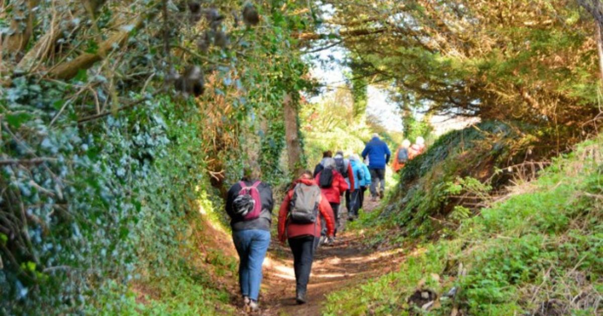 MAGNIFIQUE MARCHE DANS LA REGION DE PIETREBAIS DANS LA BRABANT WALLON